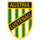 奥地利卢斯特瑙B队