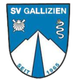 SV加利钦